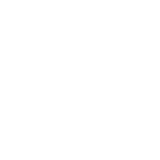Coconut palm 1